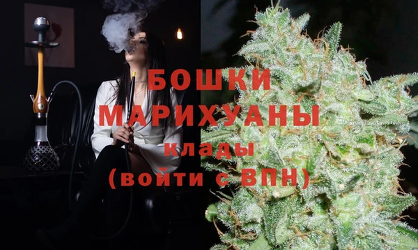 тгк Лиски