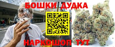 индика Аргун
