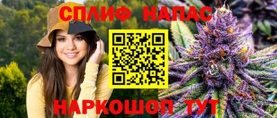 индика Аргун