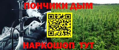 индика Аргун