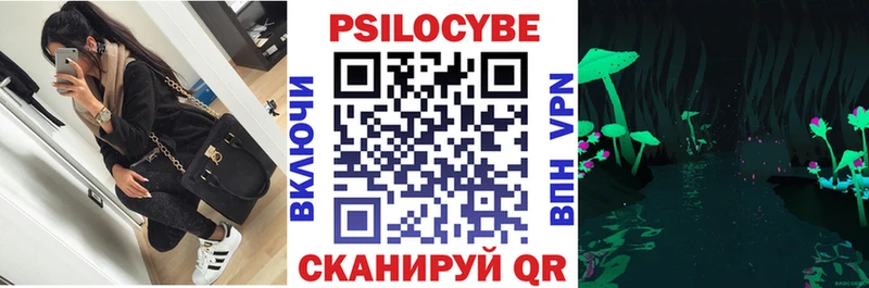 Галлюциногенные грибы Psilocybine cubensis Бердск