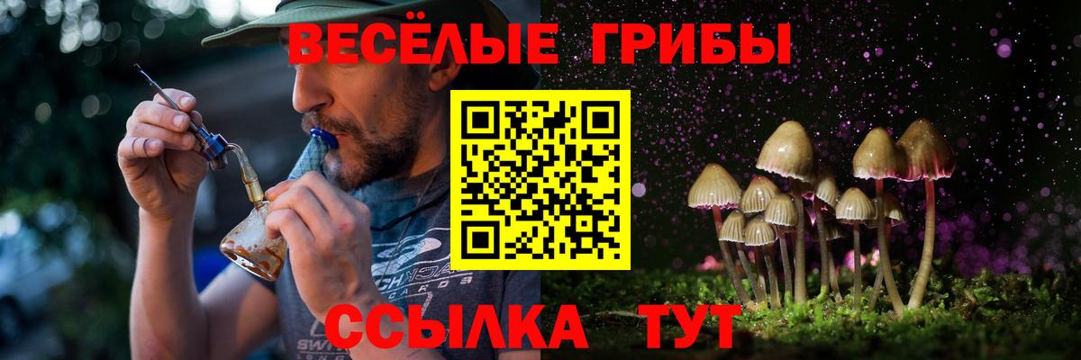 Бердск  Галлюциногенные грибы мицелий  Вход с VPN 